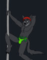 Poledancer