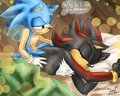 Sonadow