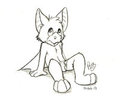 Nibbler the cutest bat ever by pandapaco