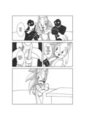 Kingdom of the Wind 2014: WINDCATCHER - 09