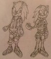 WIP - Sonic Boom Style - A5L M/F Sonic Persona