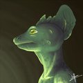Basilisk lizzard