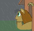 (2002) Chippusu-neko in the Doghouse