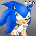 Sonic Derp
