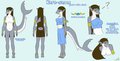 Kara-same official character sheet  by karasame
