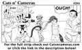 Cats n Cameras - Strip 204 Kissy Kissy