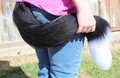 White and Black Cat Tail for Sale by Tailarium