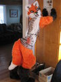 Fox Butt is the Best Butt