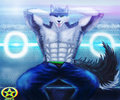 arc [ free art ] by shirou12