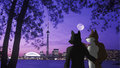 Beautiful Evening by hazdak