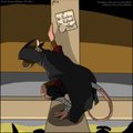 A Rat in the Rafters