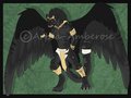 Jaguar Adopt by Artha