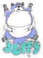 TFF Badges 2014