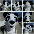 Panda Head by ratcoffee
