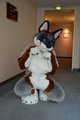*beg* by RepoFox