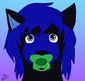 Headshot #7 by BlueWolfie