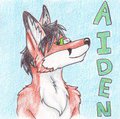 Aiden Badge