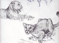 big cat practice by thatgreenyena