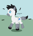 Poniiiies by siamese