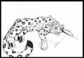 Snowmew ink by Quill