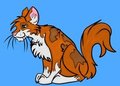Orange Kitty by Kaltazar
