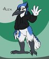 Alex blue-jay, by Mizzy