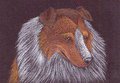 Shetland Sheepdog ACEO