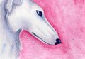 Borzoi ACEO