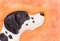 English Pointer ACEO