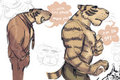 Tigers by hatman