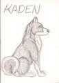 Kaden Card Badge thing
