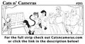 Cats n Cameras - Strip #205 - And the winner is...