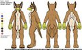 Zoober Fursuit Refsheet by Zarphus