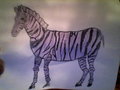 Purple zebra <3 by hinata1711