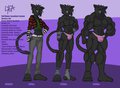 Lyca Reference Sheet by LycaV1