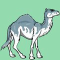 New Karja Icon