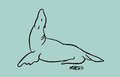Sealion Sketch