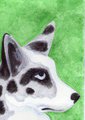 Cardigan Welsh Corgi ACEO