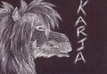 Want A Scratch Art Badge?