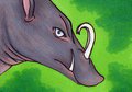 Babirusa ACEO