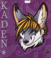 Kaden's Glittery Badge