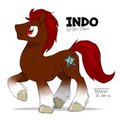 Indo