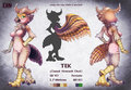 Tek Character Sheet