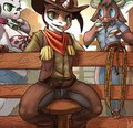 Rodeo