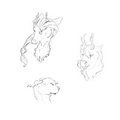 Headshots by ZiggerWolf