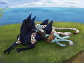 Commission - Relaxation