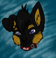 Ace's headshot by Kitthekitsune