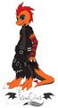Anthro Hoodie
