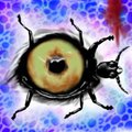 Big Black Bug by numunuucoyote