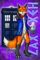 [Wing-it] Zaxxeh